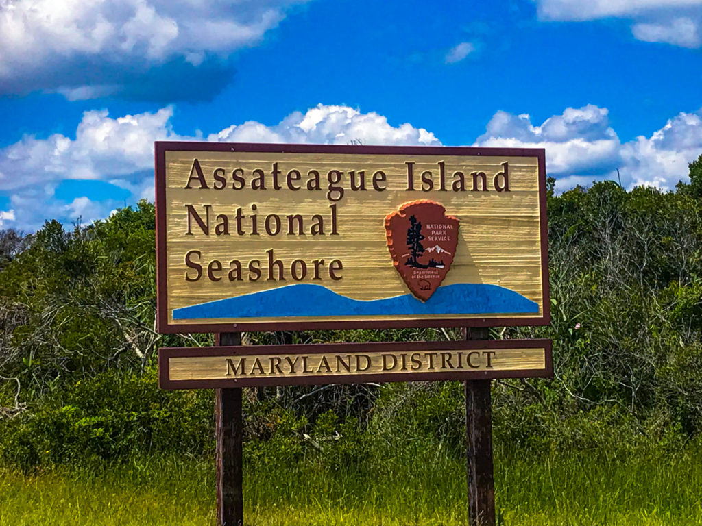 Assateague Island National Seashore - Maryland District. The Maryland side of Chincoteague Beach.
